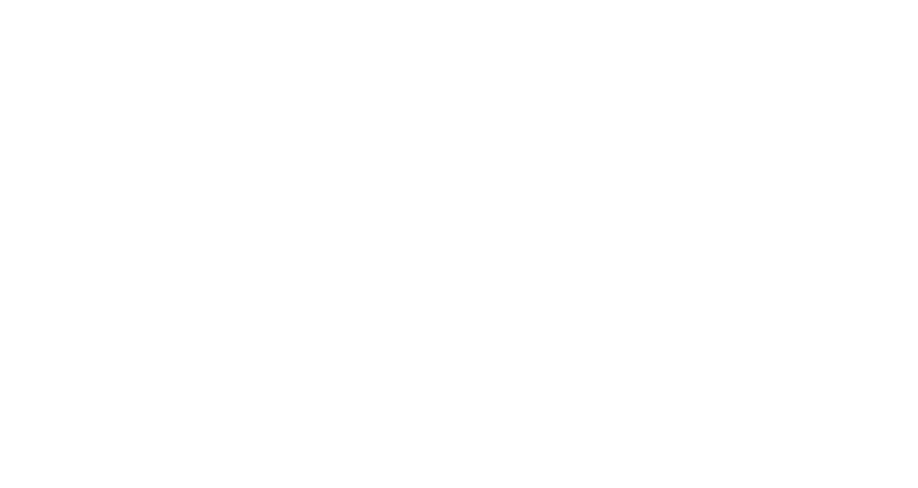 BFirst Logo White